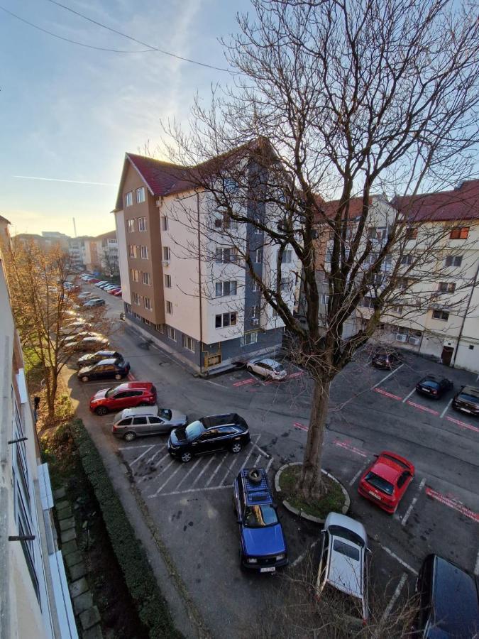Apartament Victoria Târgu Jiu Exterior foto